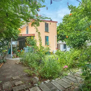 Appartement D'une A A 1 M De La Avec Vue Sur La Jardin Clos Et Wifi, Le Carbet